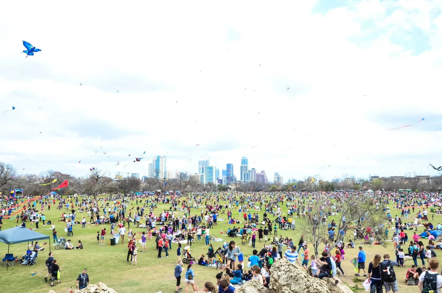 Thousands of people and kites covering the great lawn with the skyline beyond