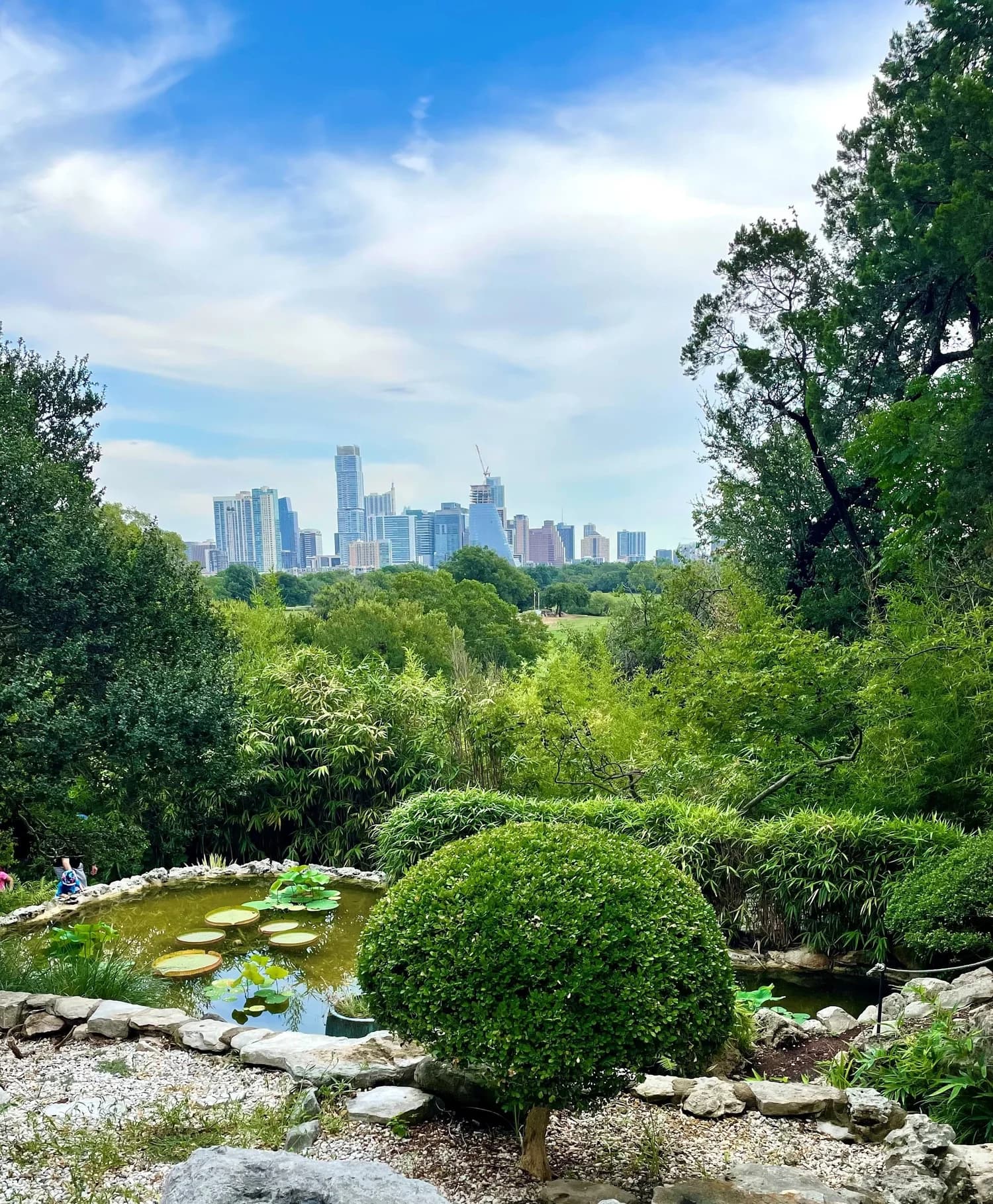 The Austin skyline seen across a lily pond at the Zilker Botanical Garden