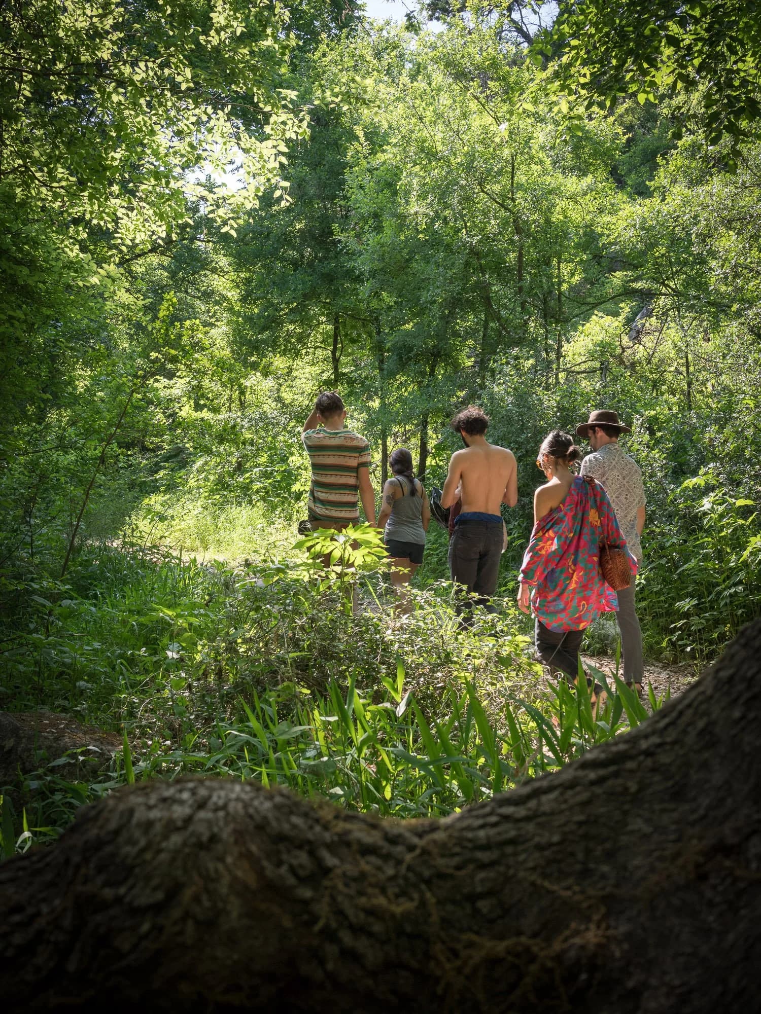 Hikers walking a shaded wooded path on the Violet Crown Trail through the Barton Creek greenbelt