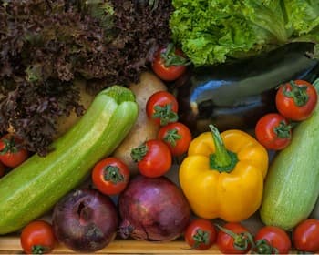 Austin Organic Gardeners August Meeting