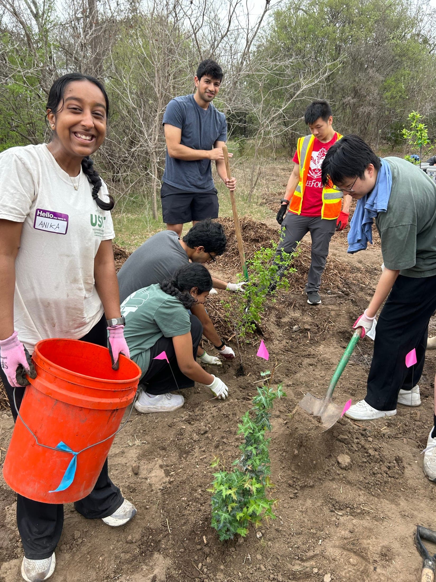 Native trees planted at the South Woodland project site near Barton Springs