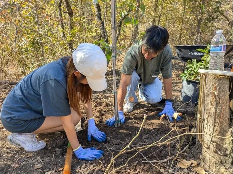 Stewarding Zilker Park: A Labor of Love