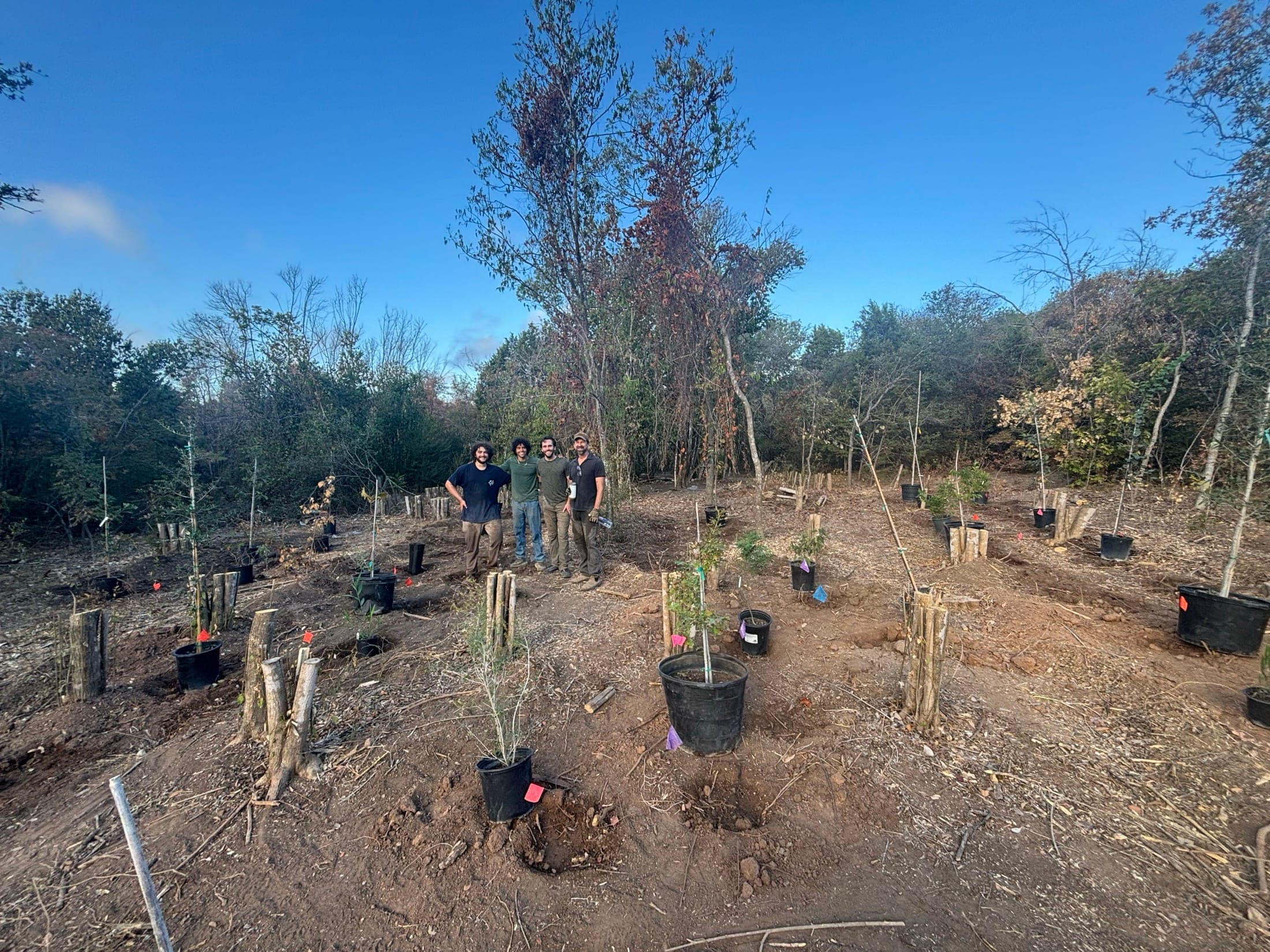 Volunteers and restoration crews at the Columbus Drive tree canopy restoration site