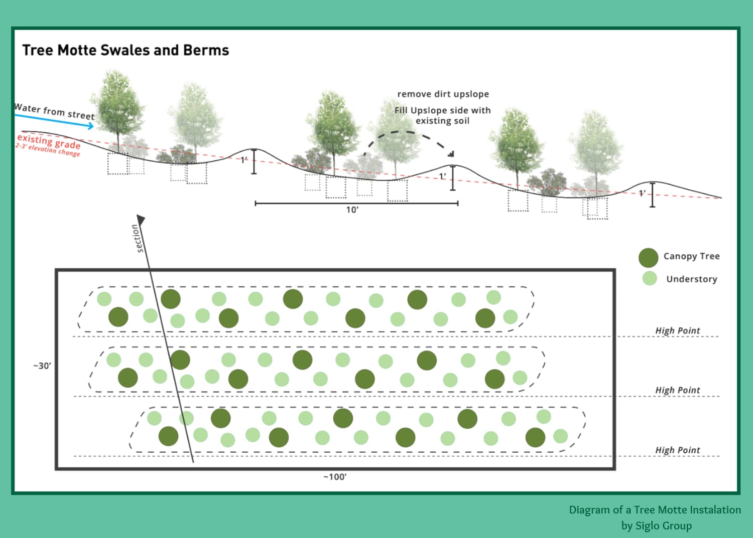 What Is A Tree Motte, Anyway?