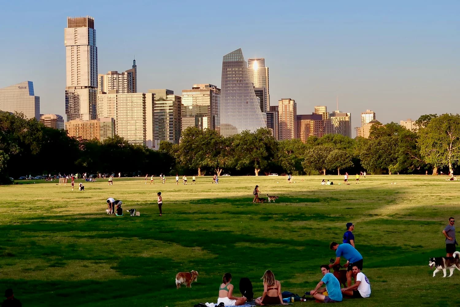 The Great Lawn at Zilker Park at golden hour with the Austin skyline behind