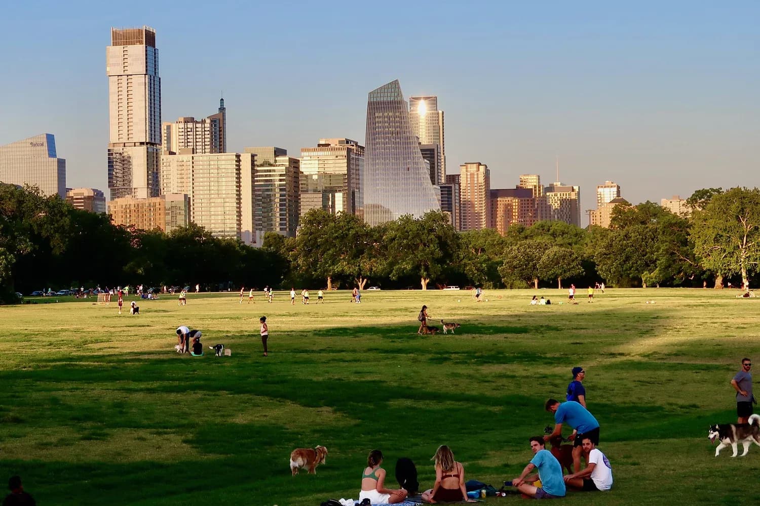 The Great Lawn at Zilker Park at golden hour with the Austin skyline behind