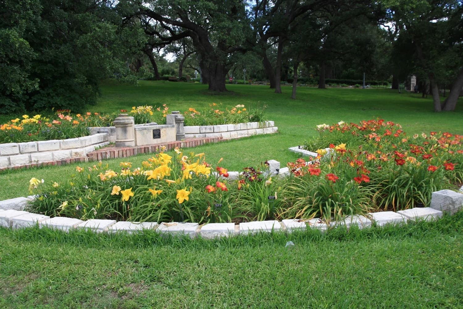 Limestone-bordered daylily beds in bloom at the Zilker Botanical Garden