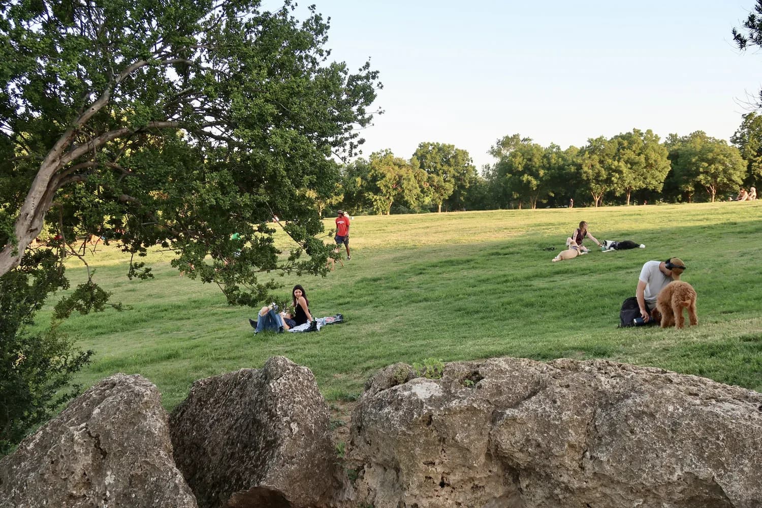 Austinites picnicking on the Great Lawn under the live oaks at Zilker Park